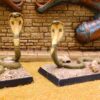 23. Giant Cobras