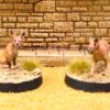 90. Caracals