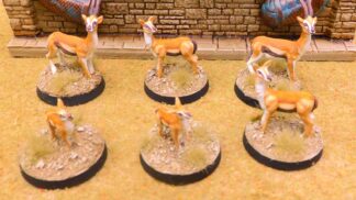 085. Gazelles
