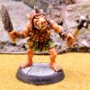 DF10 Pig Orc Champion