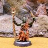 DF Savage Orc War Priest