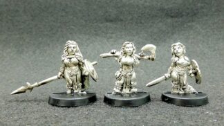 Adventurers Pack Eighteen-Dwarf Female Fighter Types