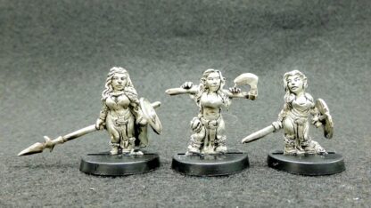 Adventurers Pack Eighteen-Dwarf Female Fighter Types