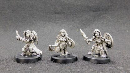 Adventurers Pack Twenty Dwarf/Halfling Female Champions