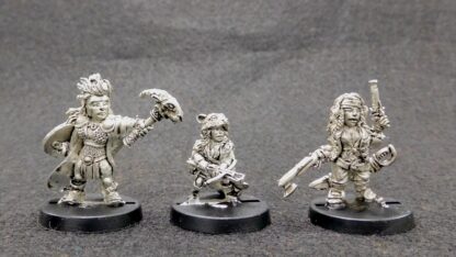 Adventurers Pack Twenty-Two Dwarf Pirate, Cleric and Gnome Scout