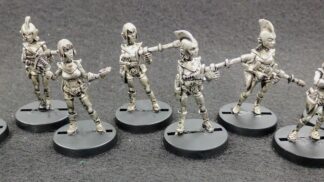 Rumpulan Landing Party